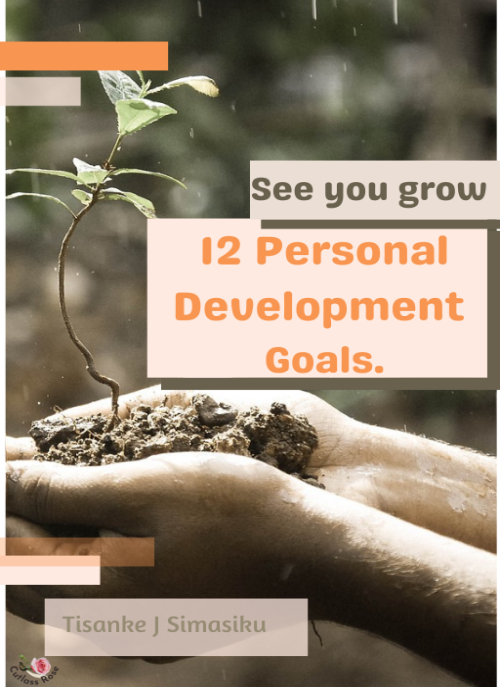 12 Personal development goals