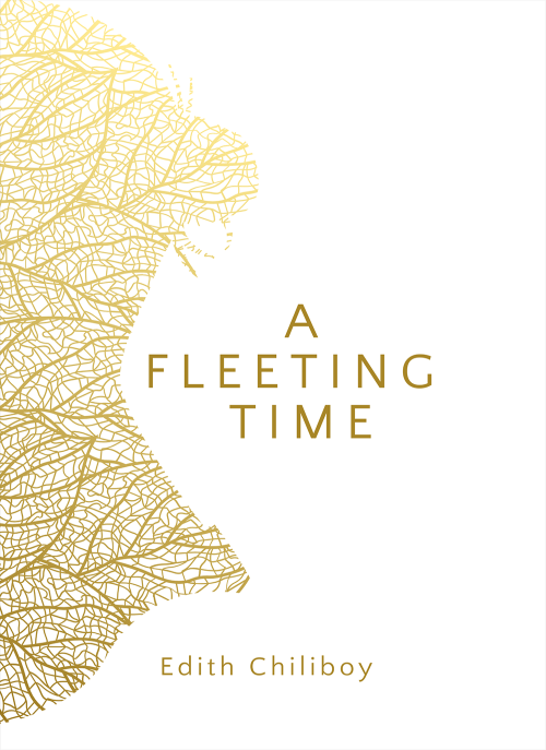 A FLEETING TIME 